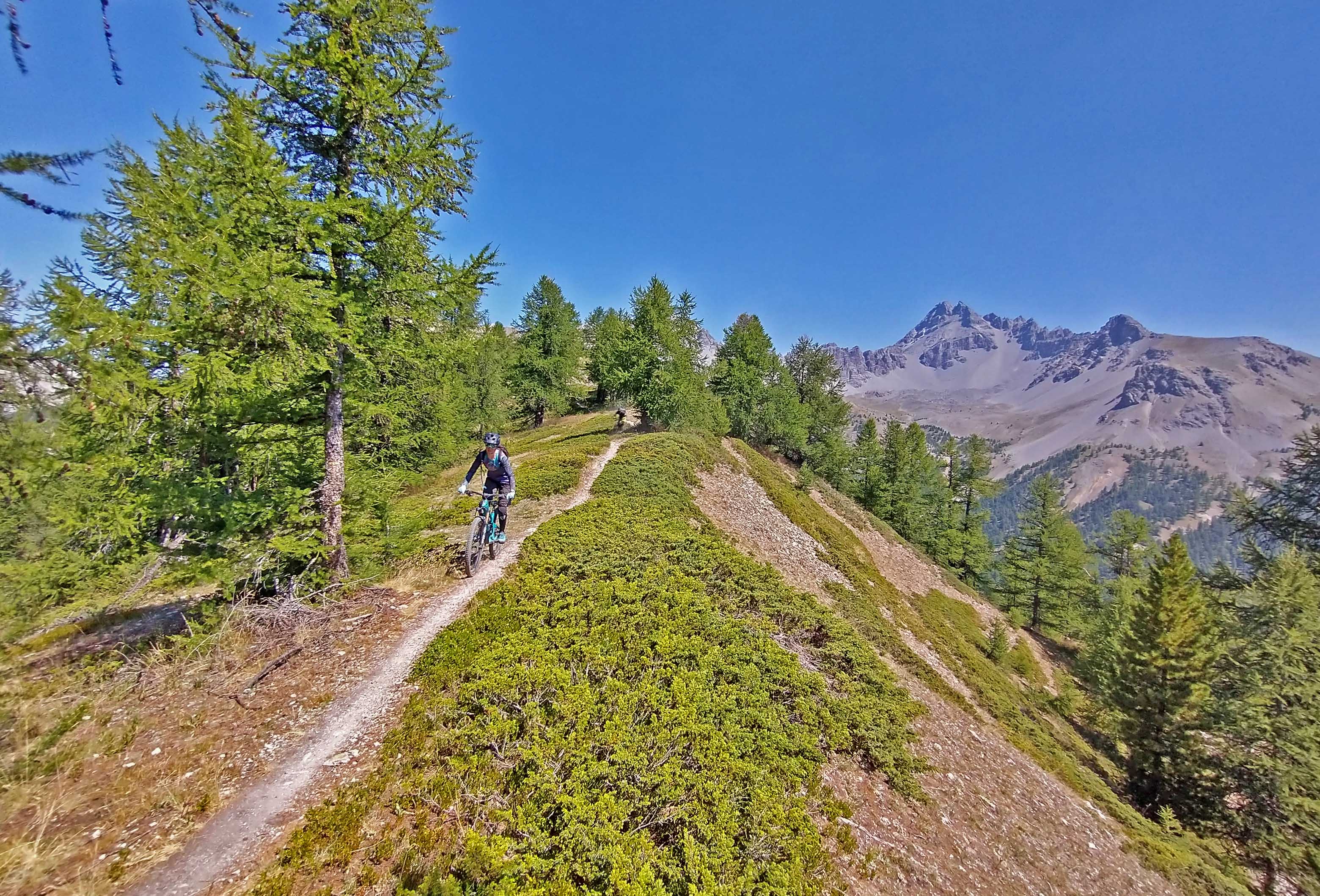 A mountain biker riding a narrow trail along a wooded Alpine ridge