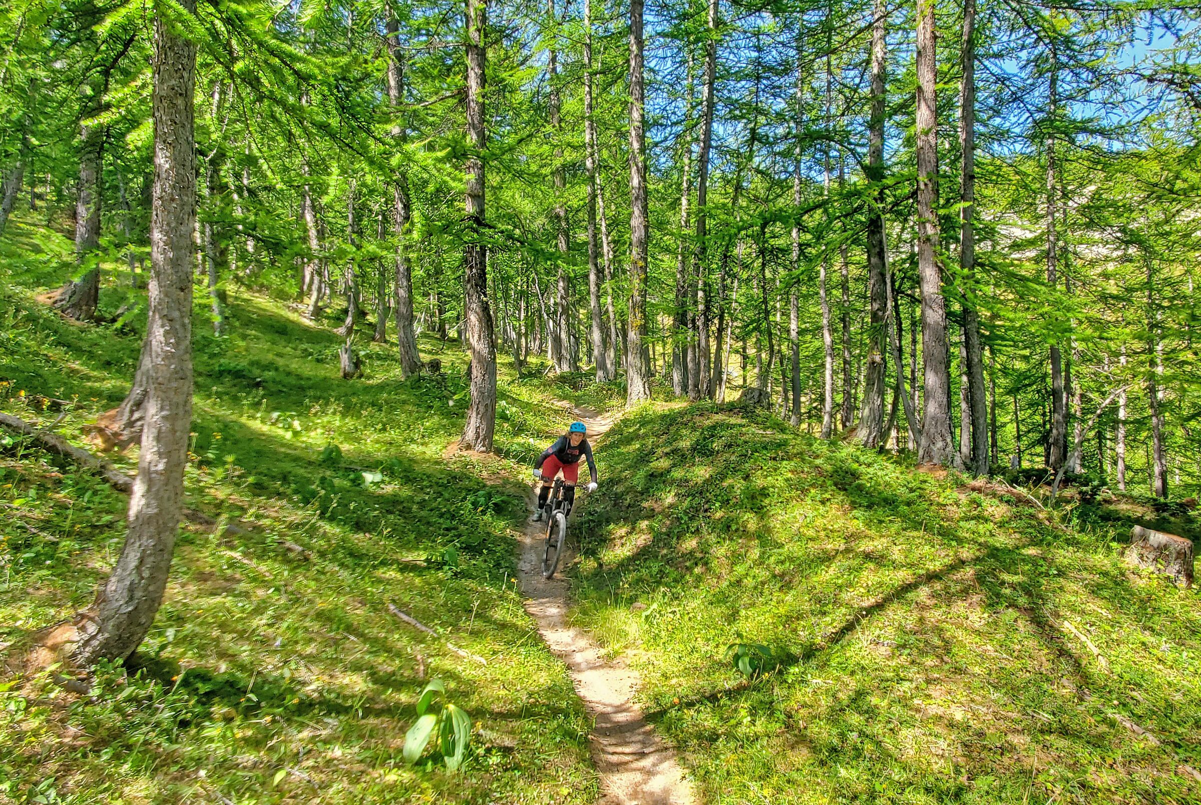 A mountain biker descending a singletrack trail through an Alpine forest